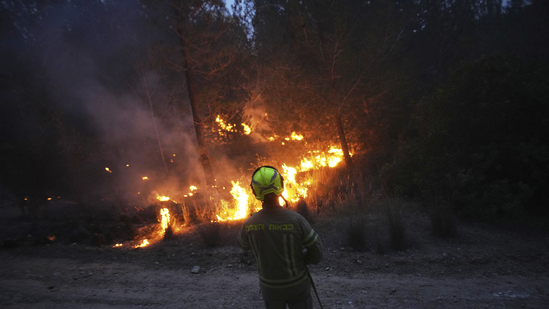The Israel-Gaza Crisis and 2025 Wildfires: A Comprehensive Overview